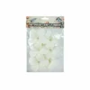 White Frangipani 6cm 6pc