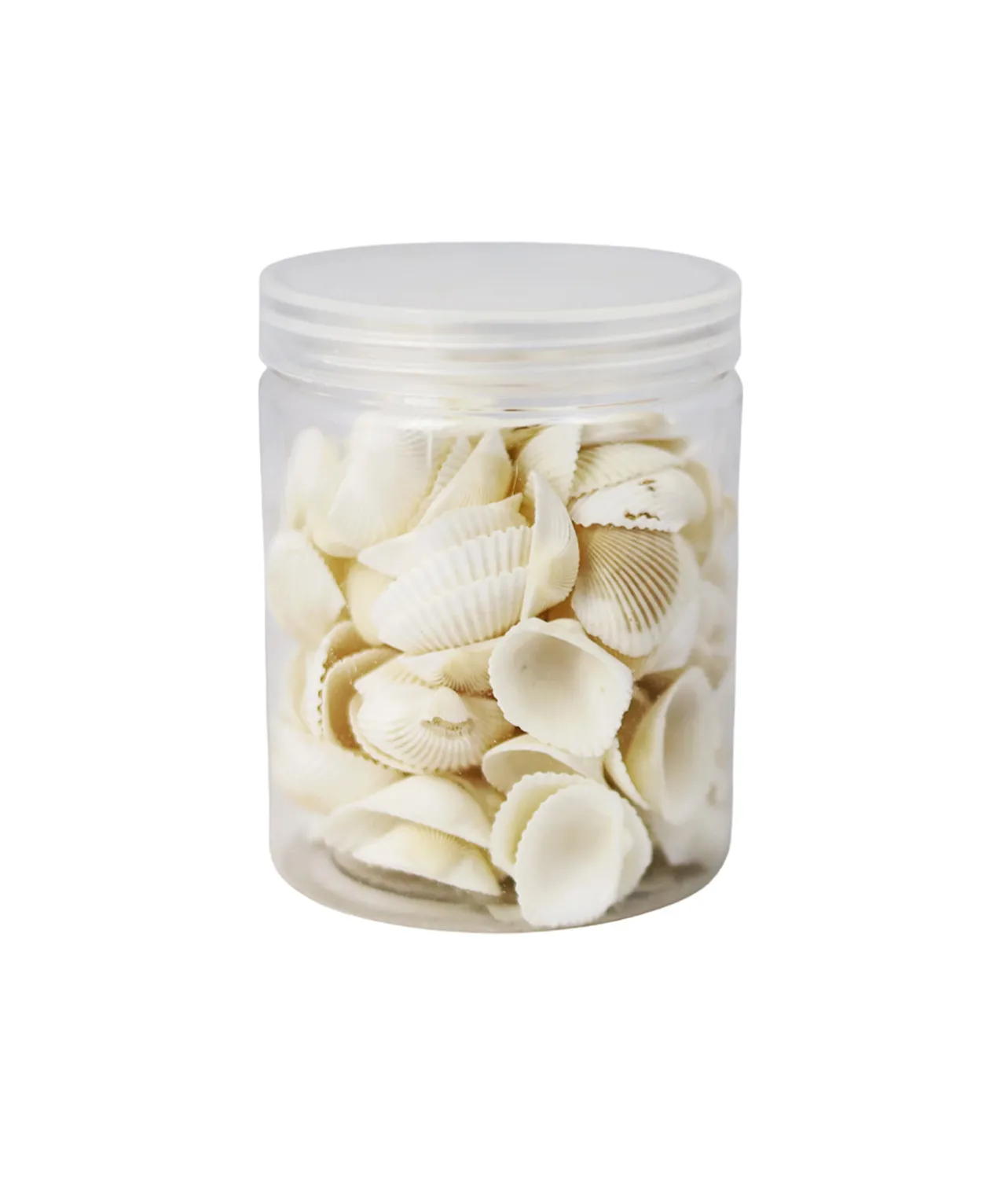 White Natural Sea Shells 300g
