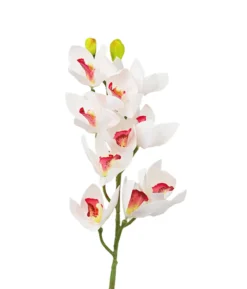White Orchid With Pink Stamen 71cm