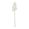White Orchid With Yellow Stamen 88cm