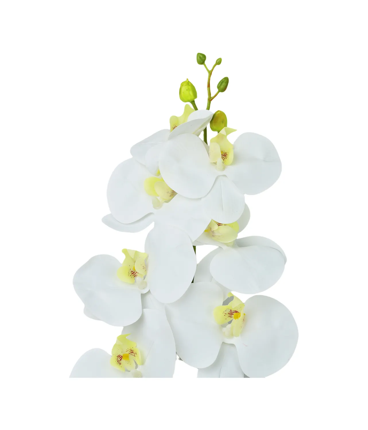 White Orchid With Yellow Stamen 88cm