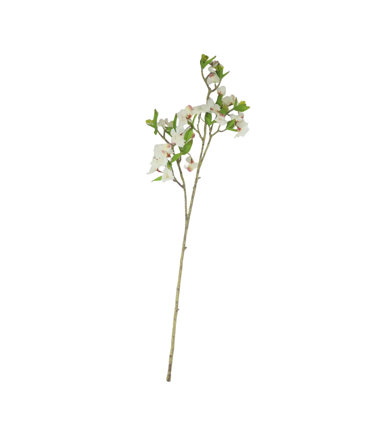 White Single Cherry Blossom 85cm
