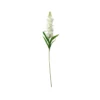 White Single Delphinium 90cm