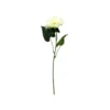 White Single Gerbera