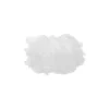 White Tutu Kids