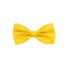 Yellow Bow Tie