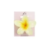 Yellow Frangipani Hair Claw Clip 1pc