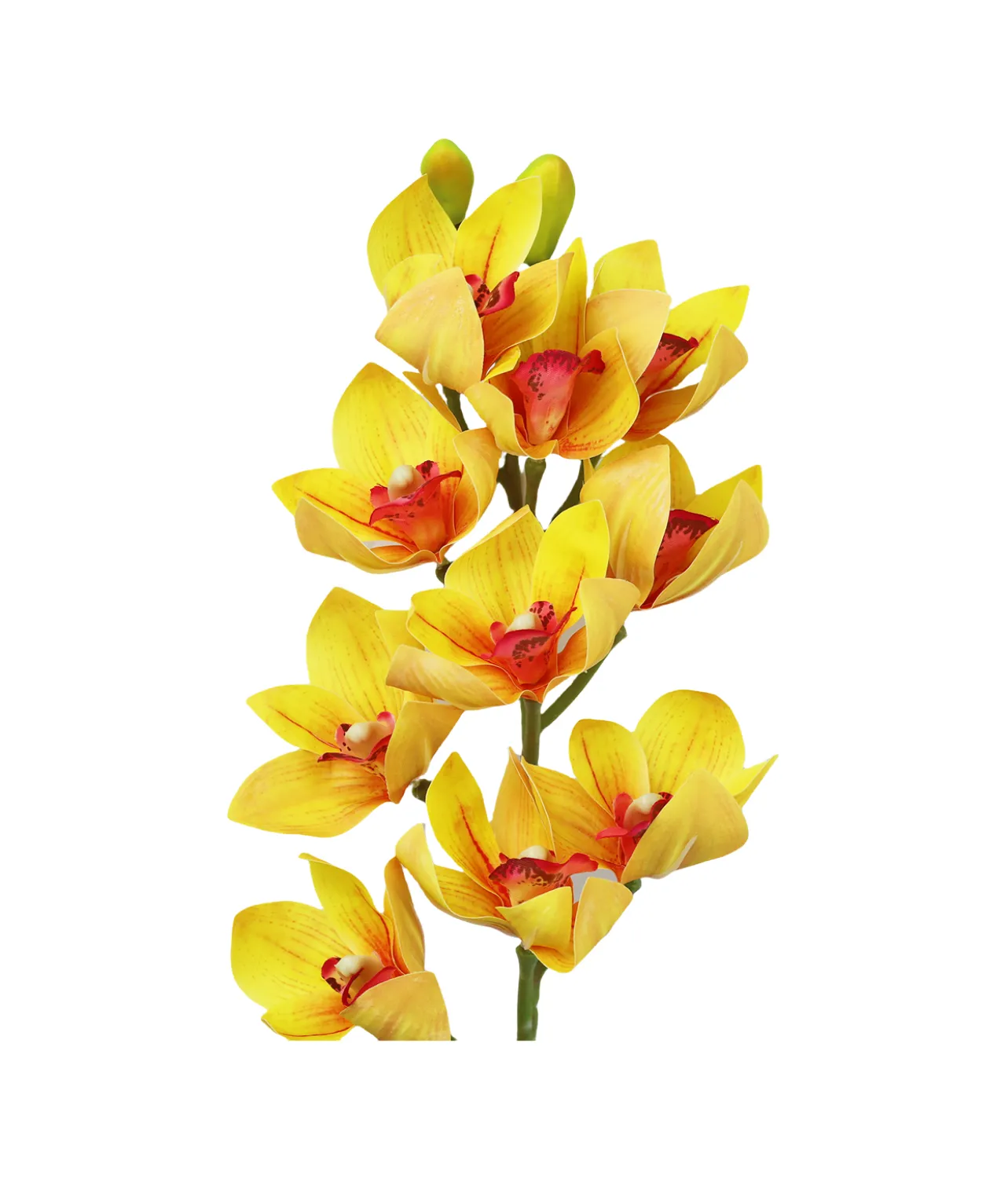 Yellow Orchid With Pink Stamen 71cm
